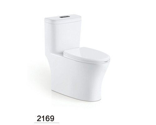 eddy one piece elongated modern toilet for bathroom