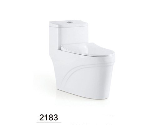 back to wall one piece toilet