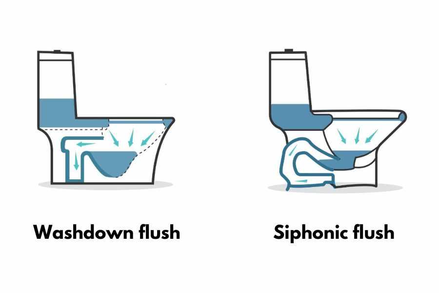 washdown vs siphonic flush diagram